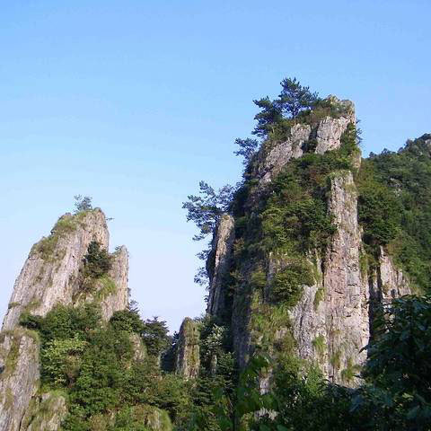 科技護林，走進‘清涼峰’